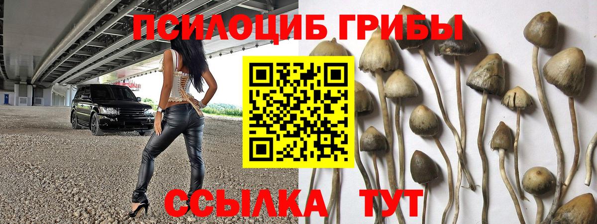 Галлюциногенные грибы MAGIC MUSHROOMS Электросталь