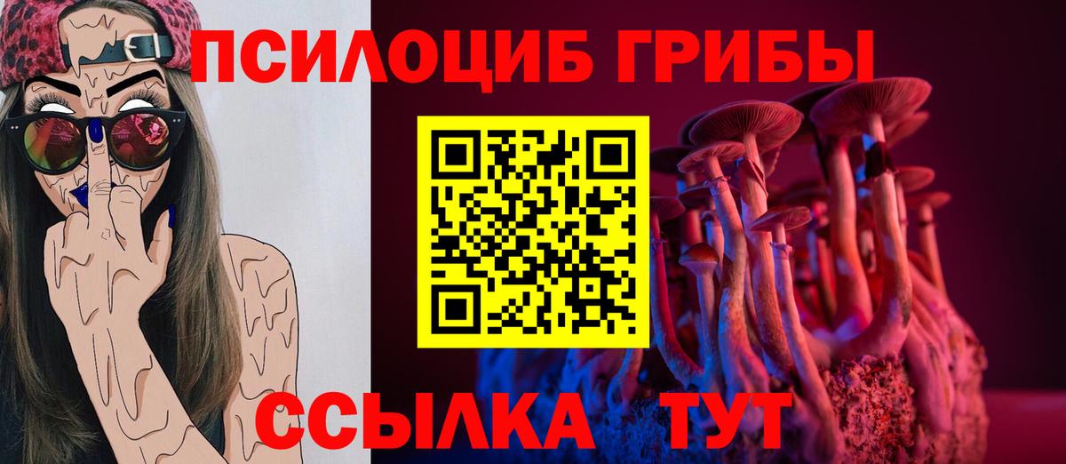Галлюциногенные грибы MAGIC MUSHROOMS  Псилоцибиновые грибы Psilocybine cubensis  Электросталь  Вход с VPN 